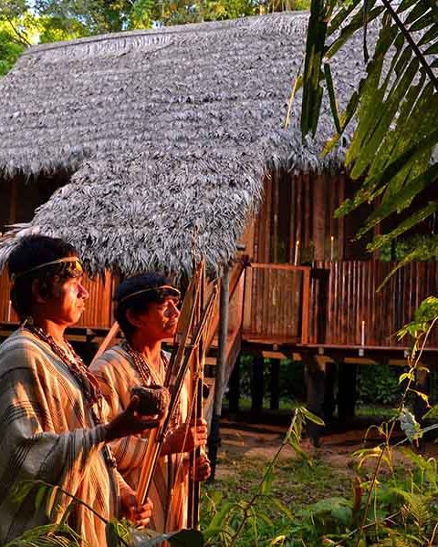 Turismo Comunitario Zona Cultura del Manu